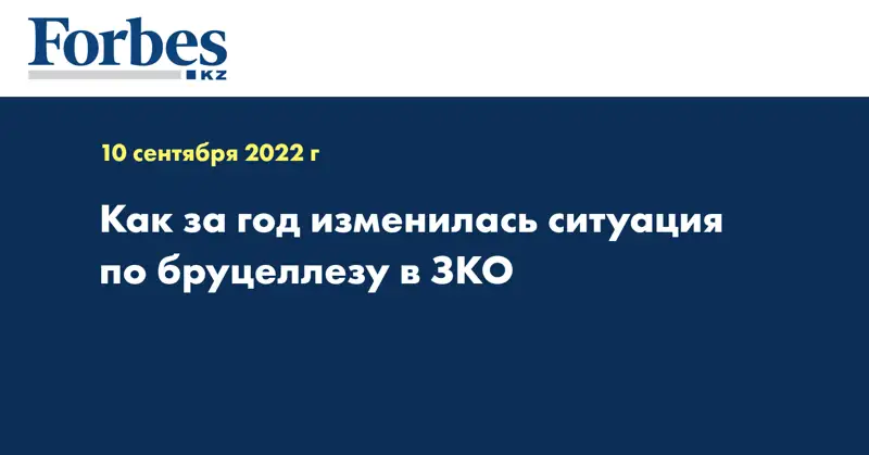 Как за год изменилась ситуация по бруцеллезу в ЗКО