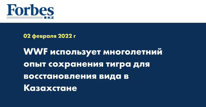 WWF использует многолетний опыт сохранения тигра для восстановления вида в Казахстане                               