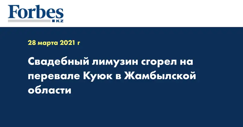 Свадебный лимузин сгорел на перевале Куюк в Жамбылской области