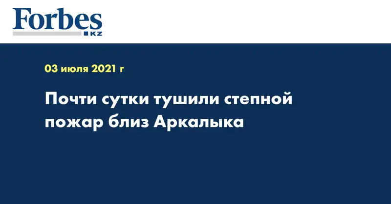 Почти сутки тушили степной пожар близ Аркалыка