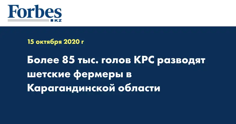 Более 85 тыс. голов КРС разводят шетские фермеры в Карагандинской области