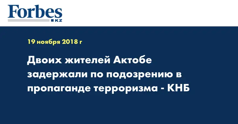 Двоих жителей Актобе задержали по подозрению в пропаганде терроризма - КНБ