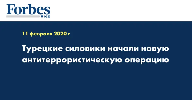 Турецкие силовики начали новую антитеррористическую операцию