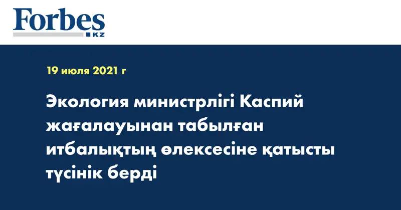  Экология министрлігі Каспий жағалауынан табылған итбалықтың өлексесіне қатысты түсінік берді