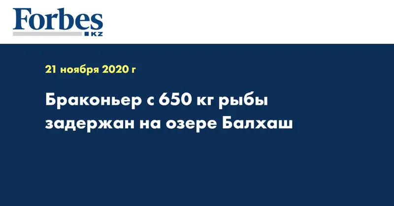 Браконьер с 650 кг рыбы задержан на озере Балхаш
