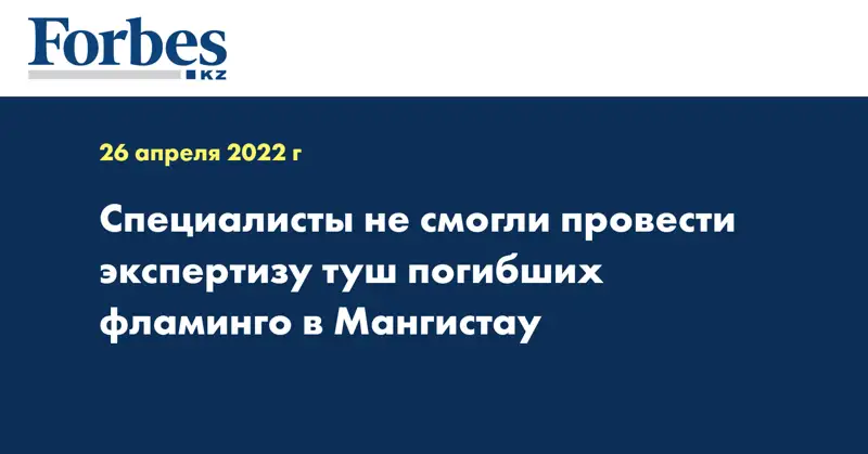 Специалисты не смогли провести экспертизу туш погибших фламинго в Мангистау