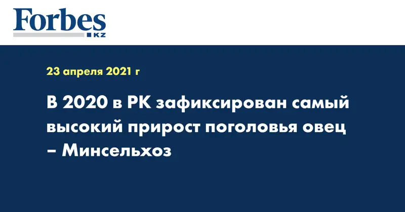 В 2020 в РК зафиксирован самый высокий прирост поголовья овец – Минсельхоз