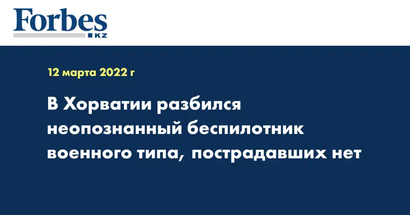 В Хорватии разбился неопознанный беспилотник военного типа, пострадавших нет