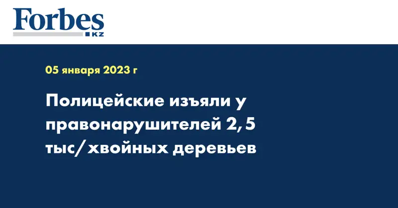 Полицейские изъяли у правонарушителей 2,5 тыс/хвойных деревьев