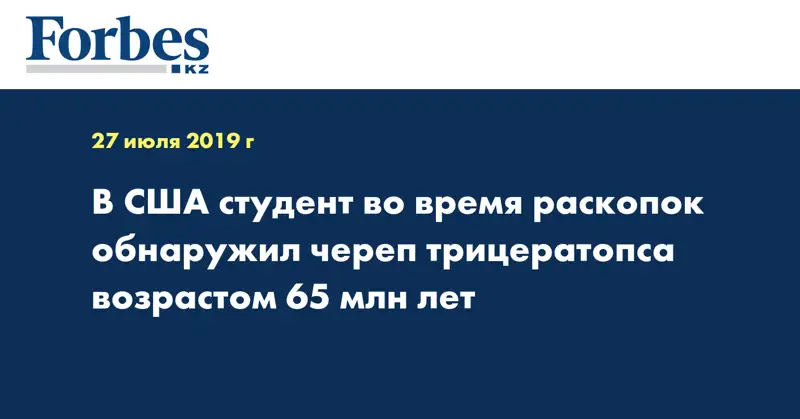 В США студент во время раскопок обнаружил череп трицератопса возрастом 65 млн лет