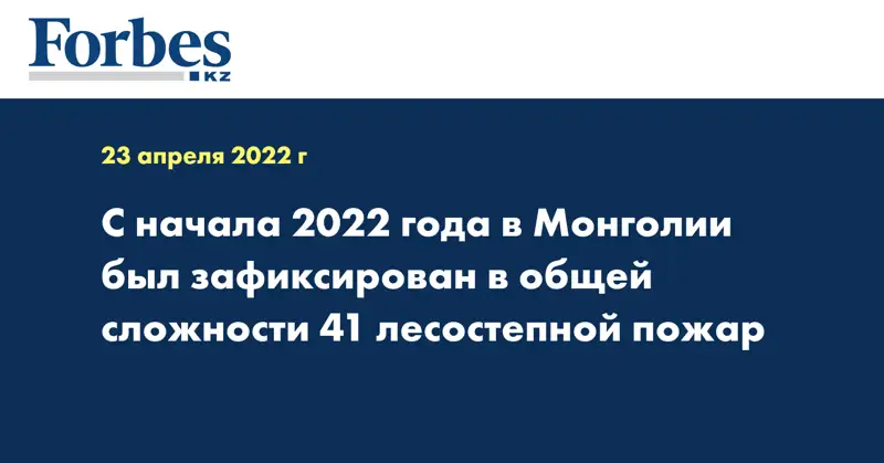С начала 2022 года в Монголии был зафиксирован в общей сложности 41 лесостепной пожар