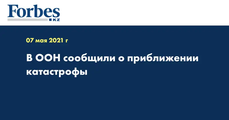 В ООН сообщили о приближении катастрофы