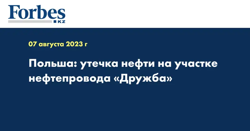 Польша: утечка нефти на участке нефтепровода «Дружба»
