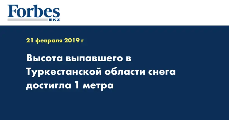 Высота выпавшего в Туркестанской области снега достигла 1 метра