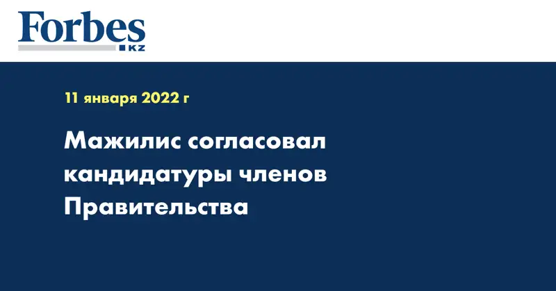 Мажилис согласовал кандидатуры членов Правительства