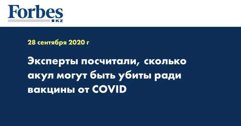 Эксперты посчитали, сколько акул могут быть убиты ради вакцины от COVID