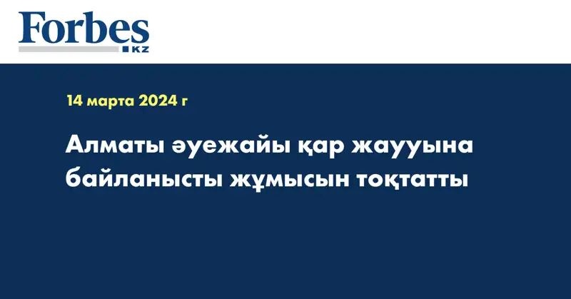 Алматы әуежайы қар жаууына байланысты жұмысын тоқтатты