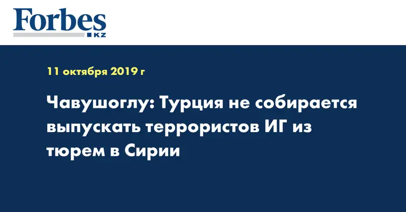 Чавушоглу: Турция не собирается выпускать террористов ИГ из тюрем в Сирии