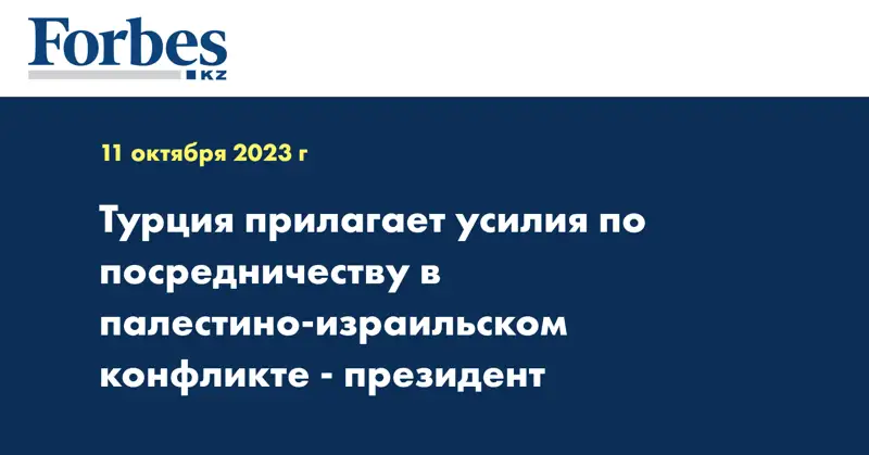 Турция прилагает усилия по посредничеству в палестино-израильском конфликте - президент