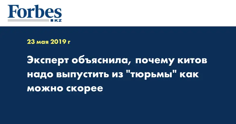 Эксперт объяснила, почему китов надо выпустить из 