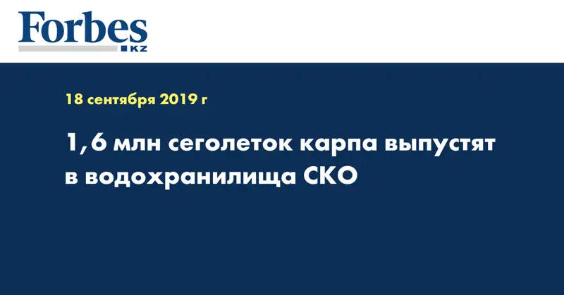 1,6 млн сеголеток карпа выпустят в водохранилища СКО