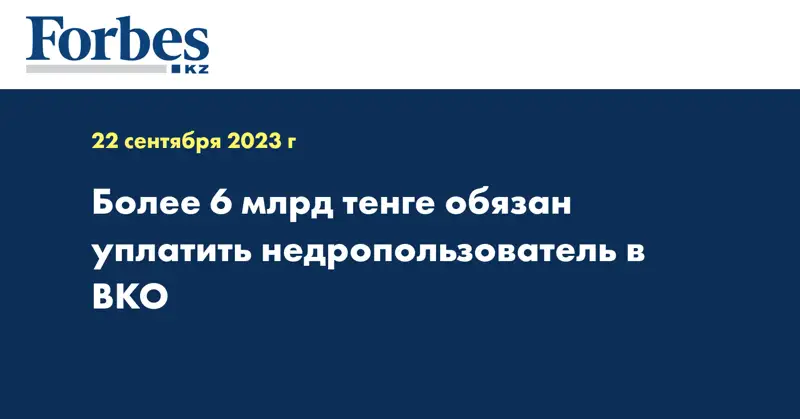 Более 6 млрд тенге обязан уплатить недропользователь в ВКО