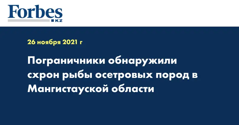  Пограничники обнаружили схрон рыбы осетровых пород в Мангистауской области