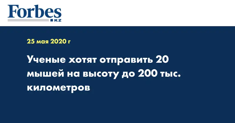 Ученые хотят отправить 20 мышей на высоту до 200 тыс. километров