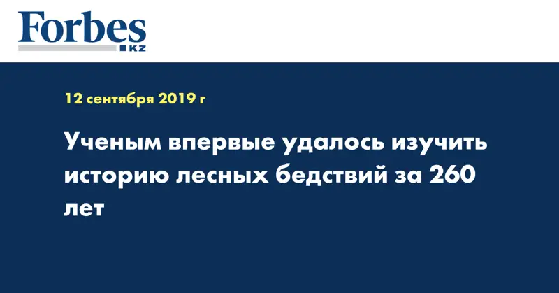 Ученым впервые удалось изучить историю лесных бедствий за 260 лет