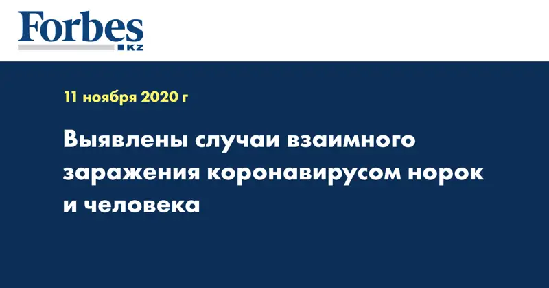 Выявлены случаи взаимного заражения коронавирусом норок и человека