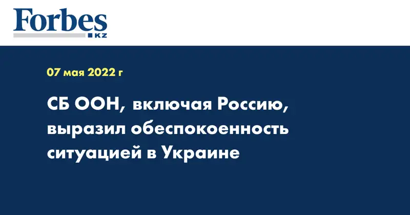 СБ ООН, включая Россию, выразил обеспокоенность ситуацией в Украине