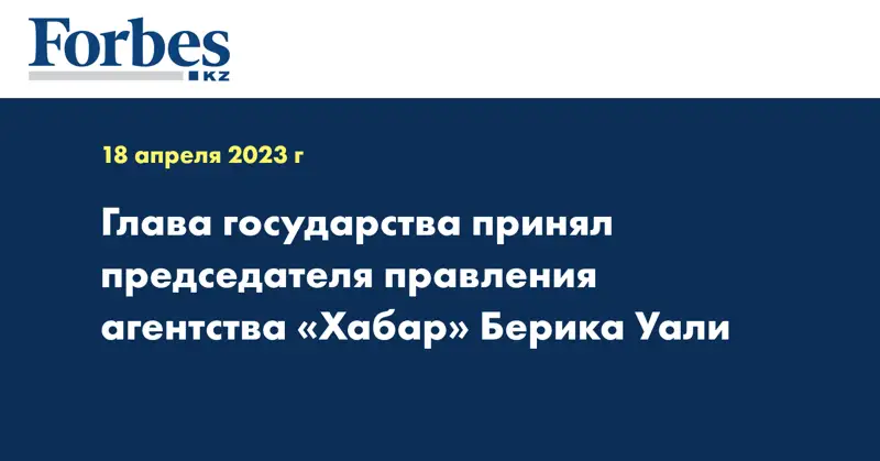 Глава государства принял председателя правления агентства «Хабар» Берика Уали