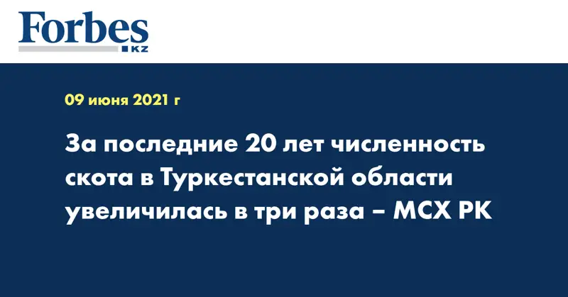 За последние 20 лет численность скота в Туркестанской области увеличилась в три раза – МСХ РК