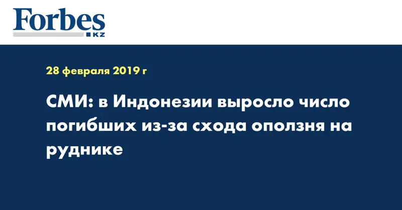 СМИ: в Индонезии выросло число погибших из-за схода оползня на руднике