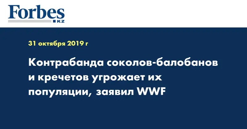 Контрабанда соколов-балобанов и кречетов угрожает их популяции, заявил WWF