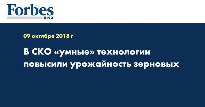 В СКО «умные» технологии повысили урожайность зерновых