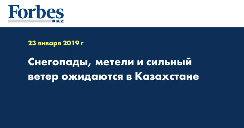 Снегопады, метели и сильный ветер ожидаются в Казахстане