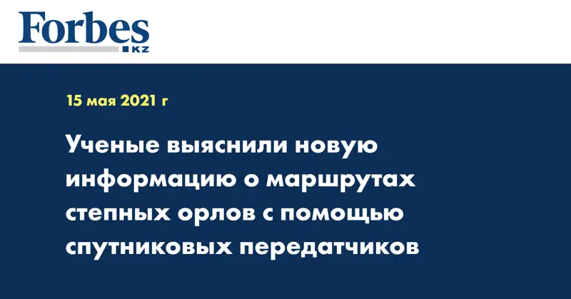 Ученые выяснили новую информацию о маршрутах степных орлов с помощью спутниковых передатчиков 