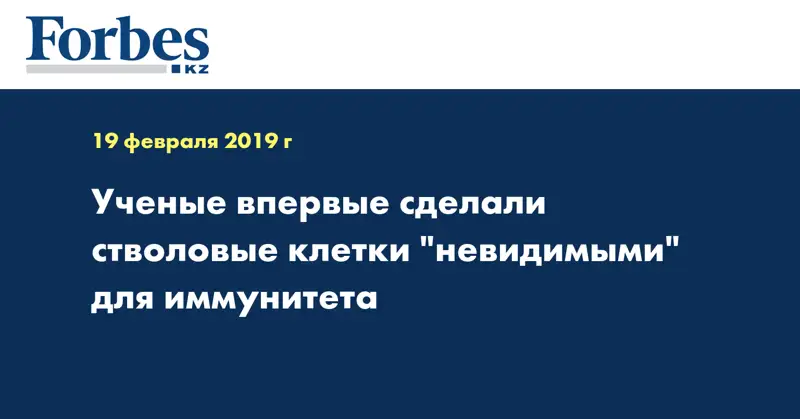Учёные впервые сделали стволовые клетки 