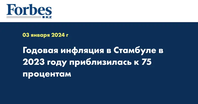 Годовая инфляция в Стамбуле в 2023 году приблизилась к 75 процентам