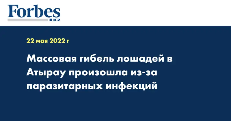 Массовая гибель лошадей в Атырау произошла из-за паразитарных инфекций