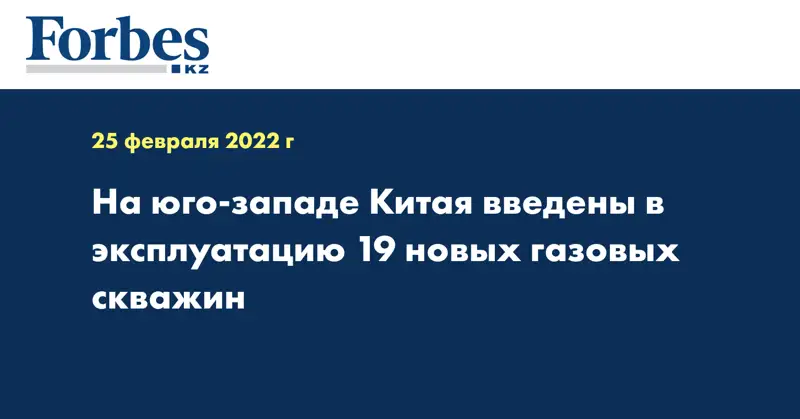  На юго-западе Китая введены в эксплуатацию 19 новых газовых скважин