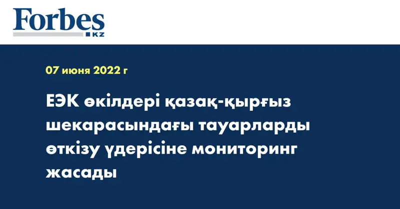 ЕЭК өкілдері қазақ-қырғыз шекарасындағы тауарларды өткізу үдерісіне мониторинг жасады 