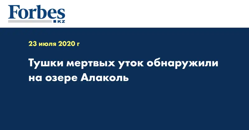 Тушки мертвых уток обнаружили на озере Алаколь