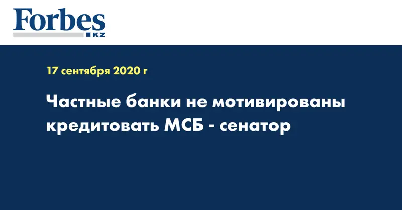 Частные банки не мотивированы кредитовать МСБ - сенатор