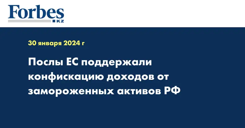 Послы ЕС поддержали конфискацию доходов от замороженных активов РФ