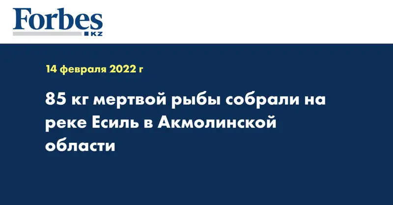 85 кг мертвой рыбы собрали на реке Есиль в Акмолинской области