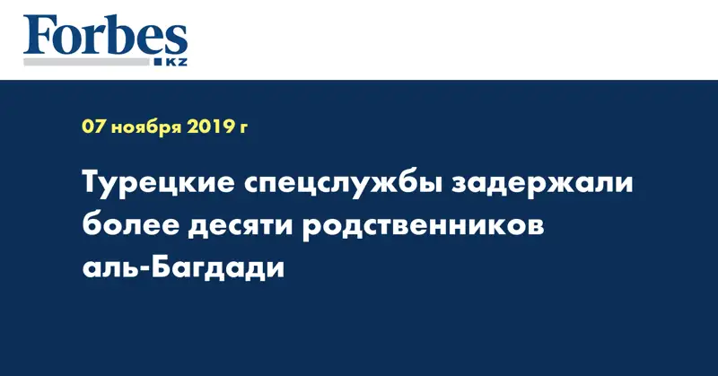Турецкие спецслужбы задержали более десяти родственников аль-Багдади