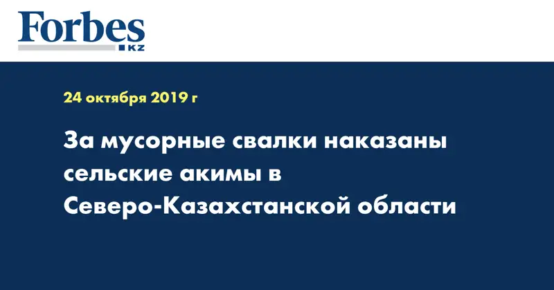За мусорные свалки наказаны сельские акимы в Северо-Казахстанской области