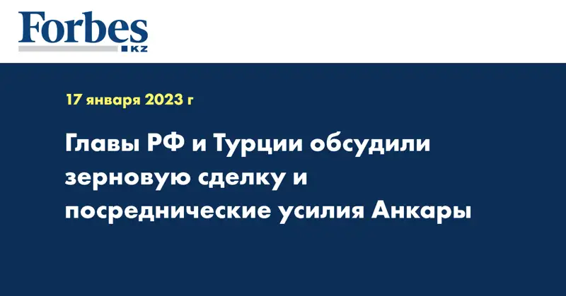Главы РФ и Турции обсудили зерновую сделку и посреднические усилия Анкары